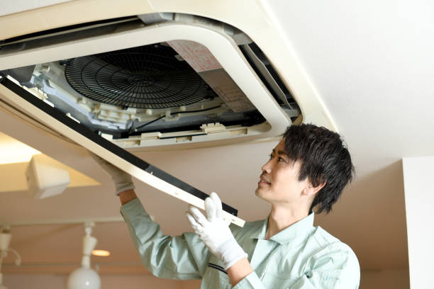 Best Professional Duct Cleaning Services  in Fernandina Beach, FL