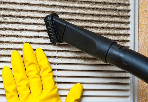 Best Home Air Vent Cleaning  in Fernandina Beach, FL